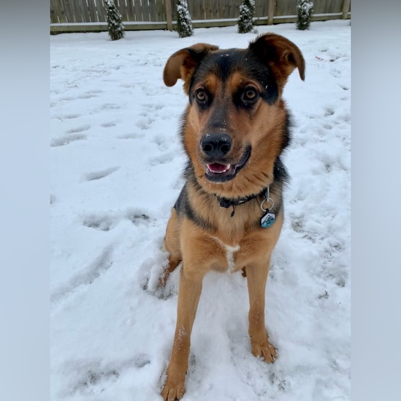 Meet your Posher, Celena - Picture 7 of 7